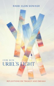 Picture of Our Son Uriel's Light [Hardcover]
